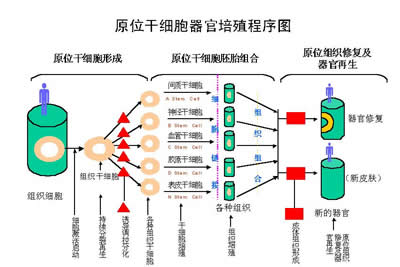 点击放大